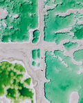海