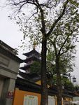 寒山寺