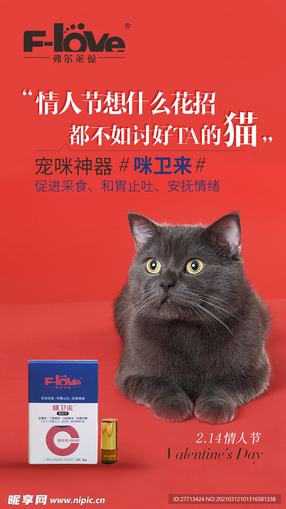 爱宠海报