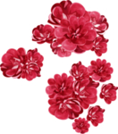 樱花素材