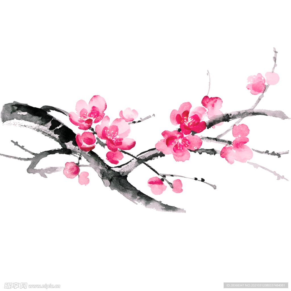 樱花素材