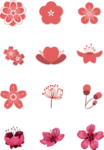 樱花素材