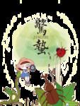 七星瓢虫