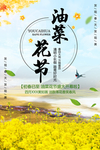油菜花海报 春游踏青海报