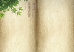 相册背景素材