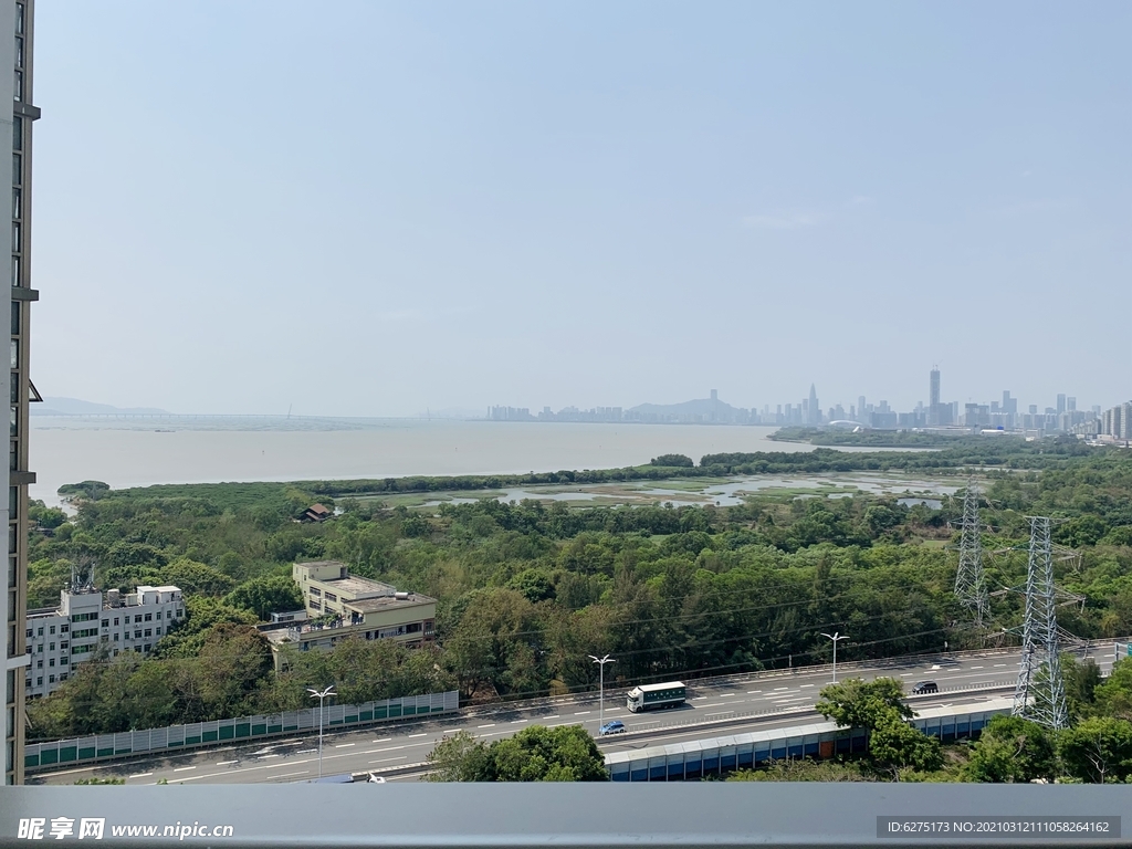 深圳湾湿地风景