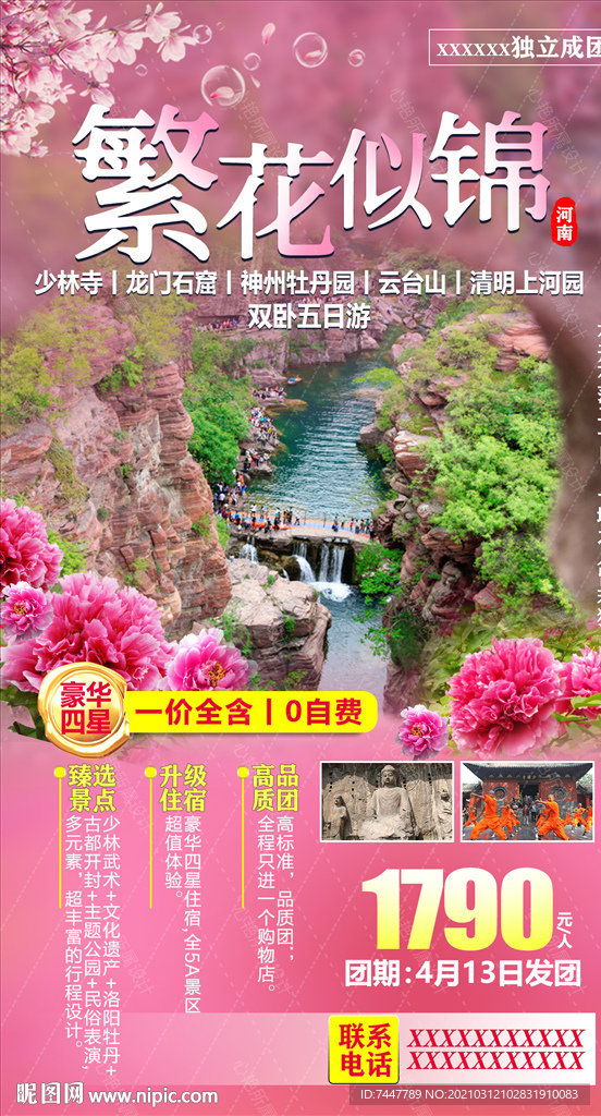 河南牡丹