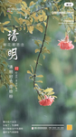 清明