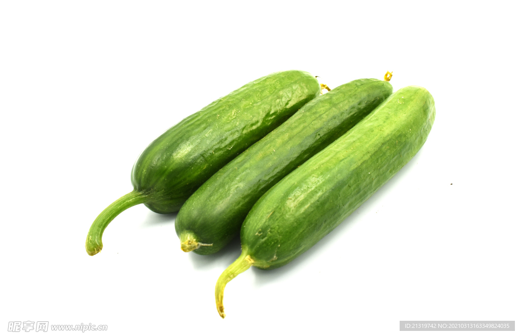 新鲜蔬菜小黄瓜摄影图
