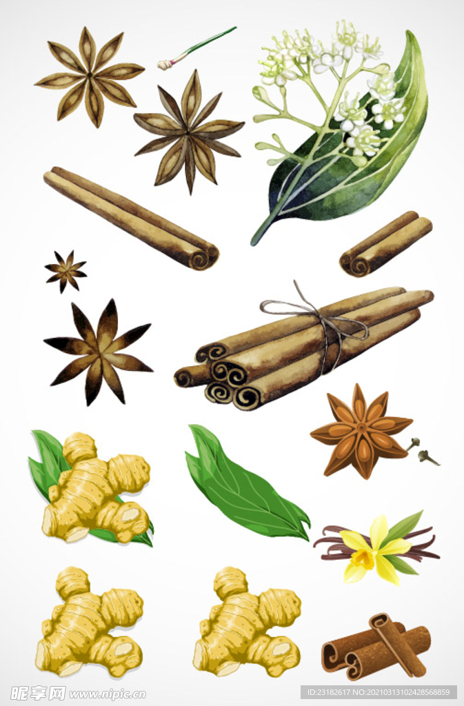 佐料插画