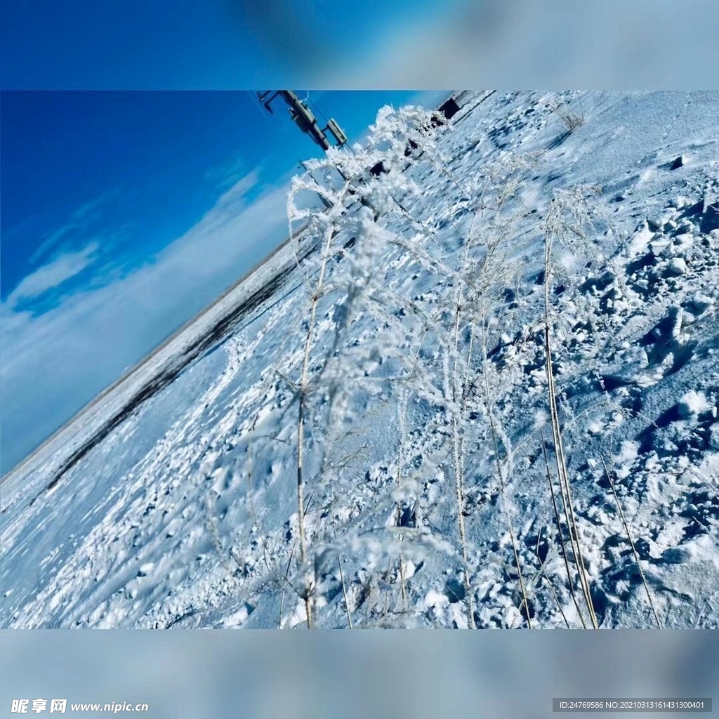 雪景  风景