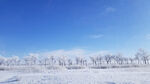 风景 雪景