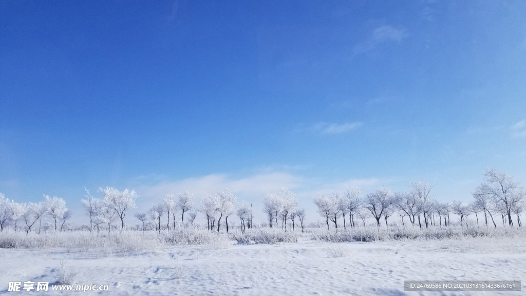 风景 雪景