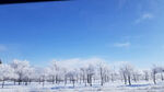 雪景 风景