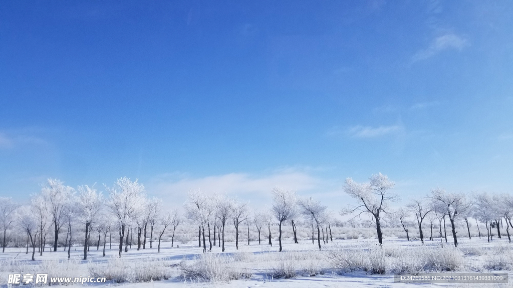 风景 雪景