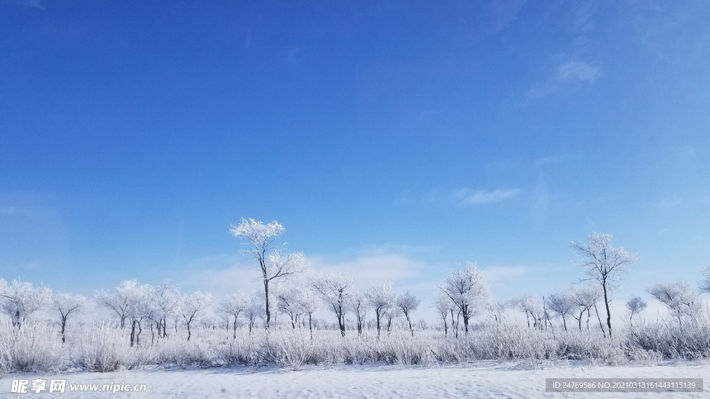 风景 雪景