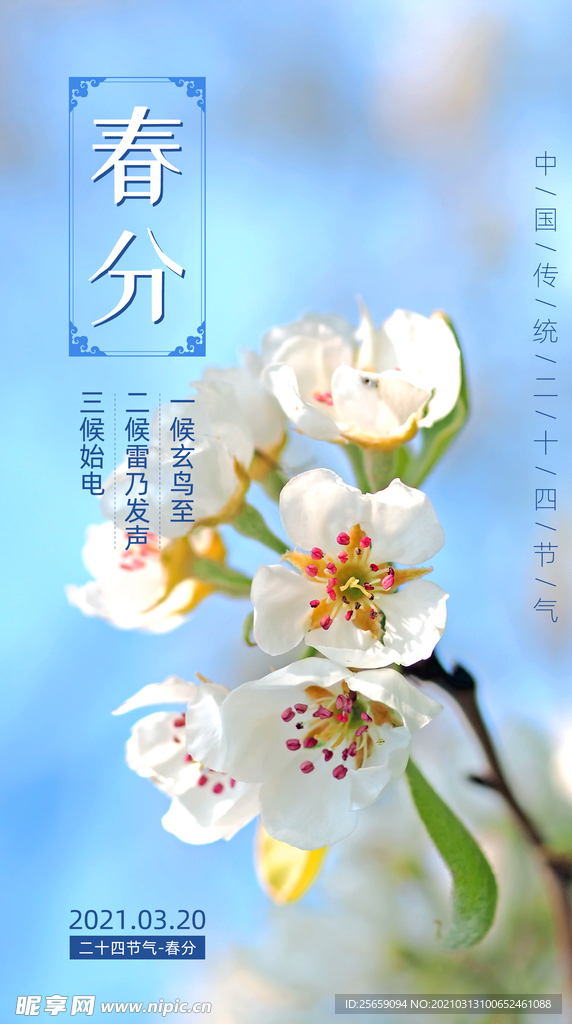 春分图