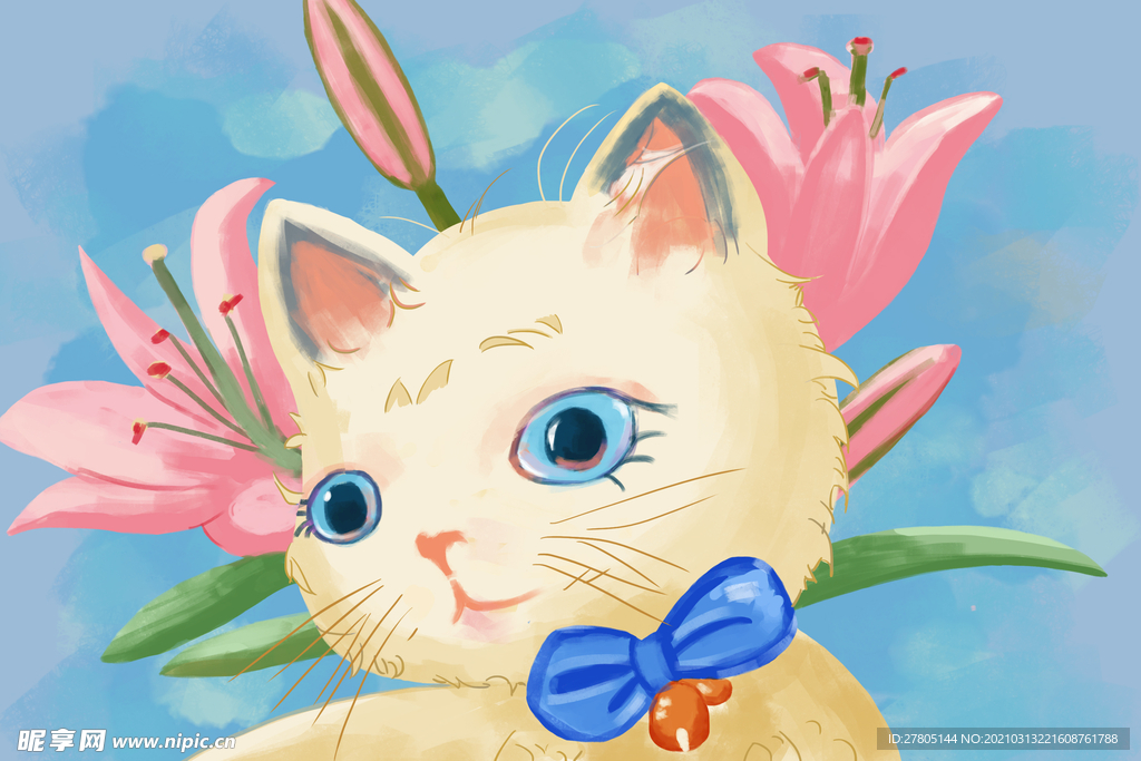 橘猫咪