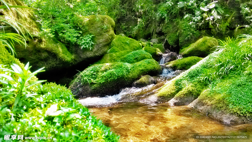 清新自然山水