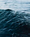 深海 大海