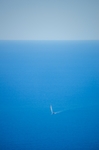 海