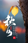 秋分