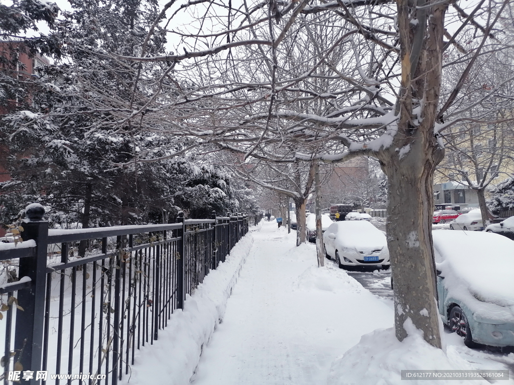 大雪后的城市