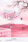 樱花节