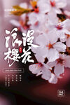 樱花节