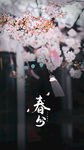 春分