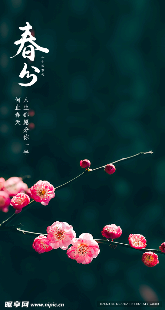 春分