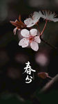 春分