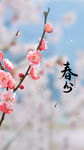 春分