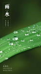 雨水