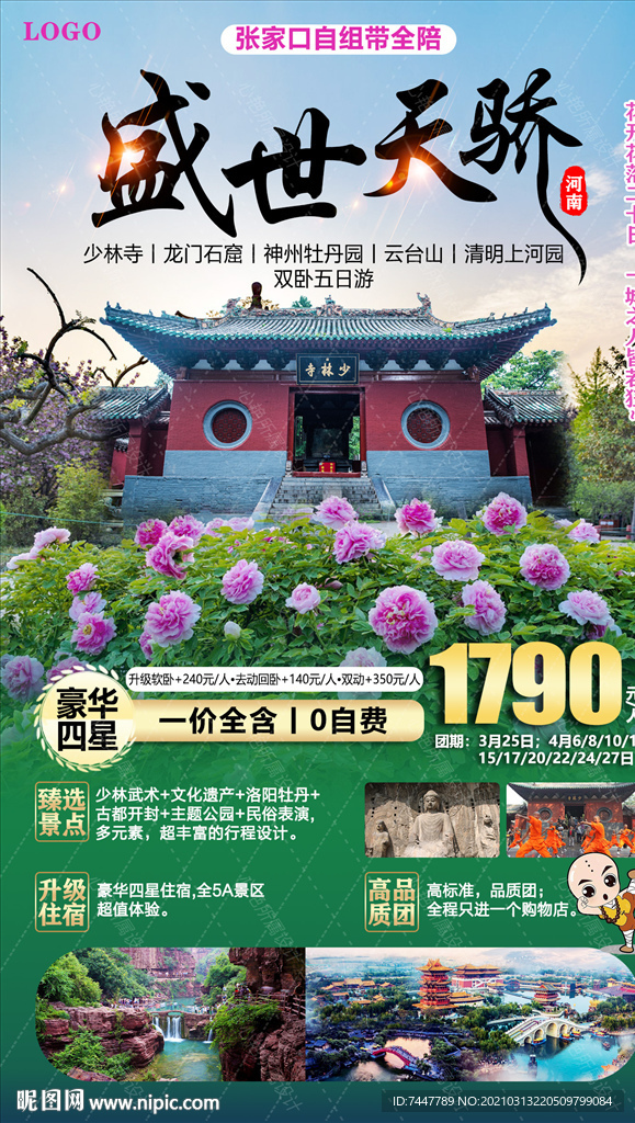 洛阳牡丹