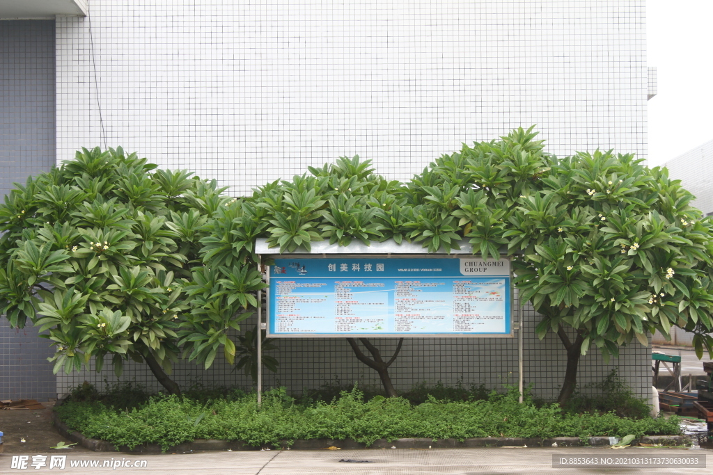公告栏