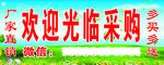 欢迎光临采购
