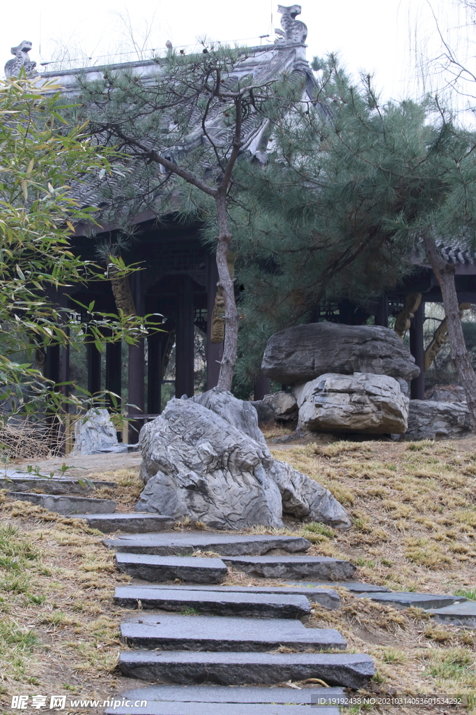 初春风景