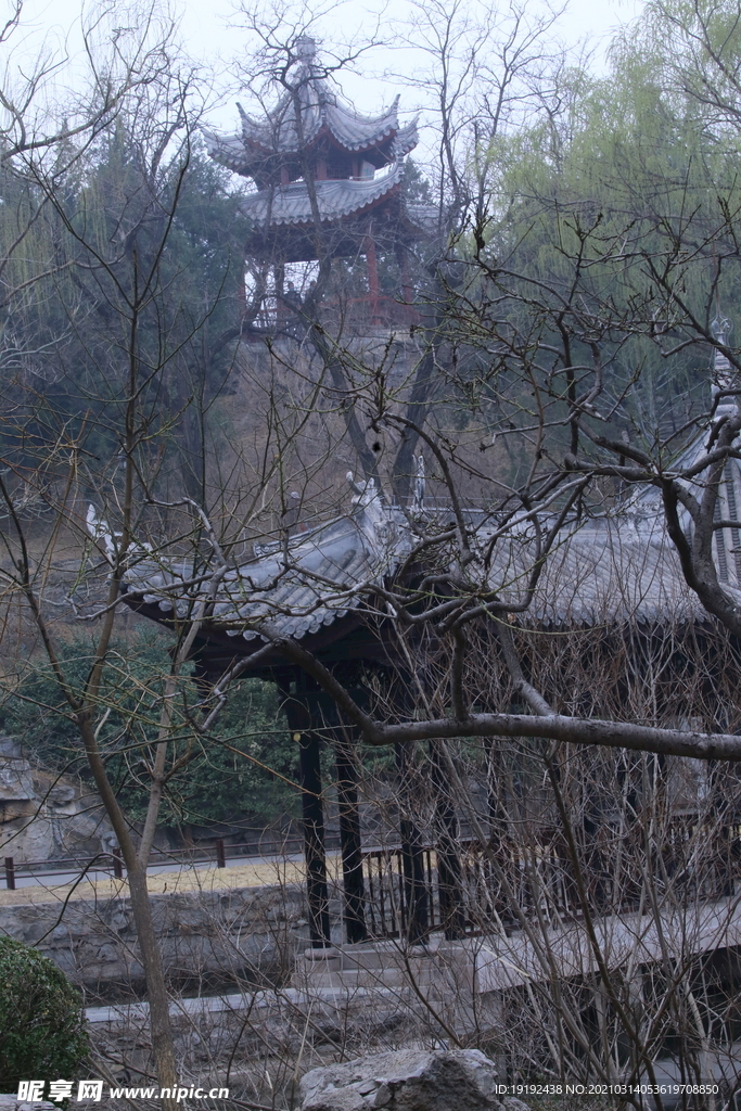 初春风景