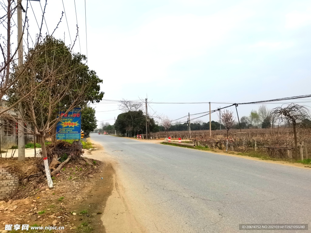 乡村道路风景