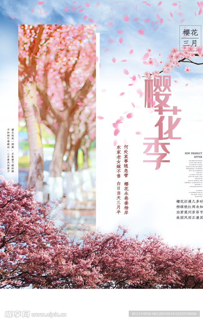 粉色浪漫樱花节宣传海报