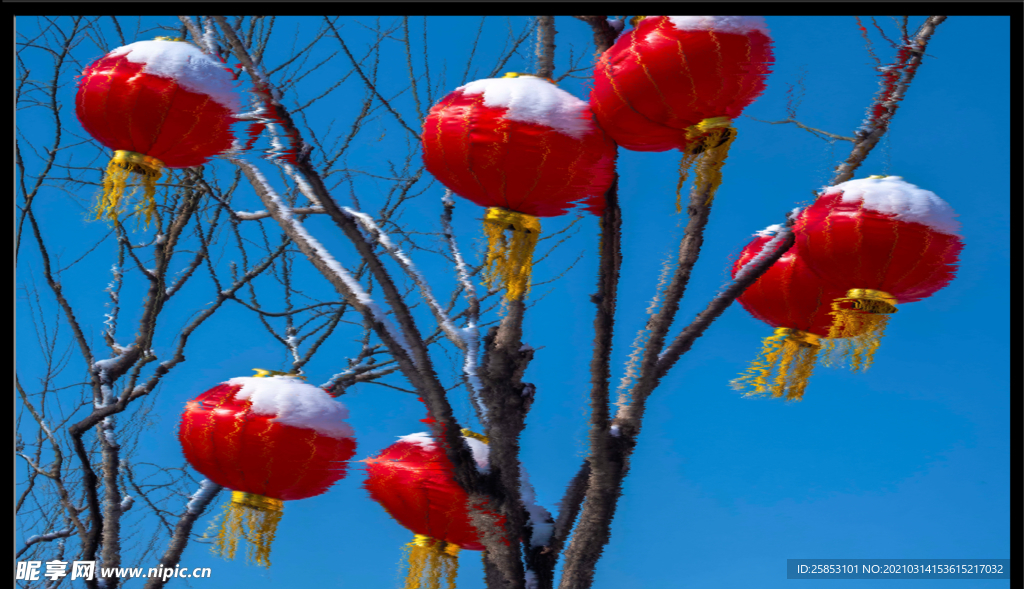 大红灯笼高高挂