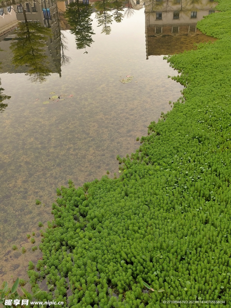 风景  建筑  房子  树木