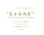 小清新字体样式
