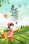 春茶上市