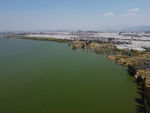 滇池湿地