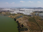湿地