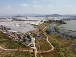 湿地