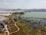 滇池湿地