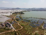 湿地
